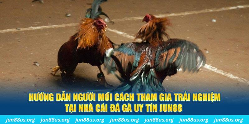 911win CQ9 Điện Tử