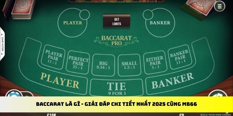 911win gà chọi cu cần