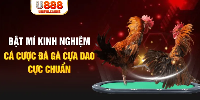 911win tỷ lệ cá cược châu á là gì