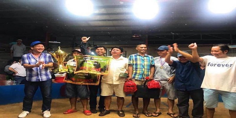 911win đá gà trực tiếp hôm nay