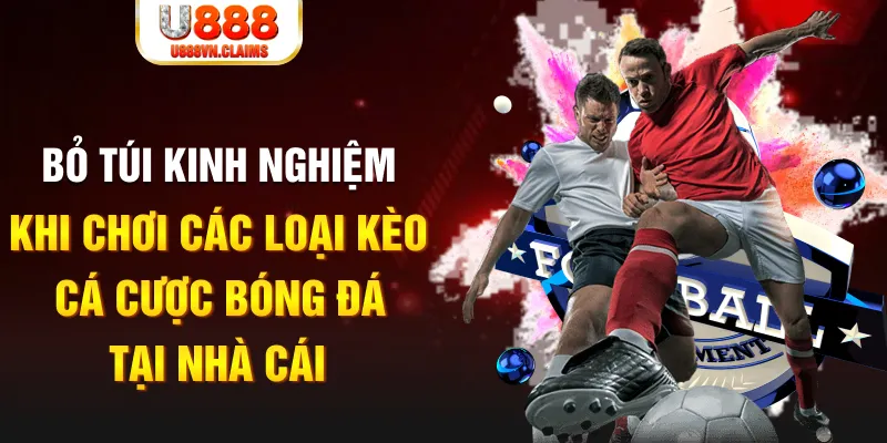 911win Tài Xỉu