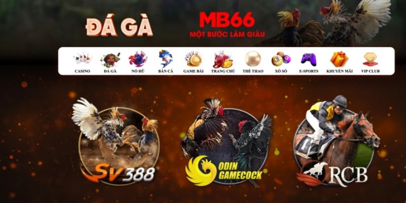 911win đăng nhập poker số 1