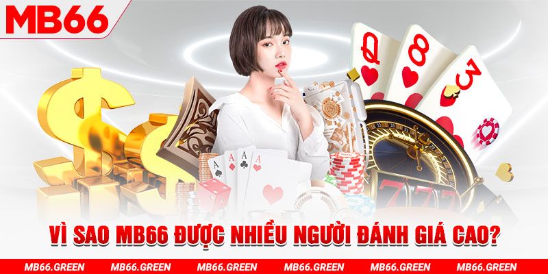 911win đá gà
