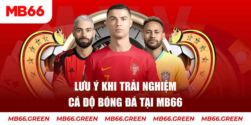 911win cá cược là gì
