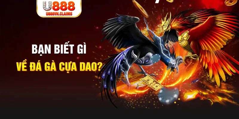 911win nổ hủ là gì