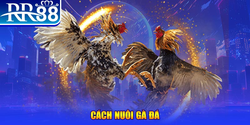 911win xổ số an giang