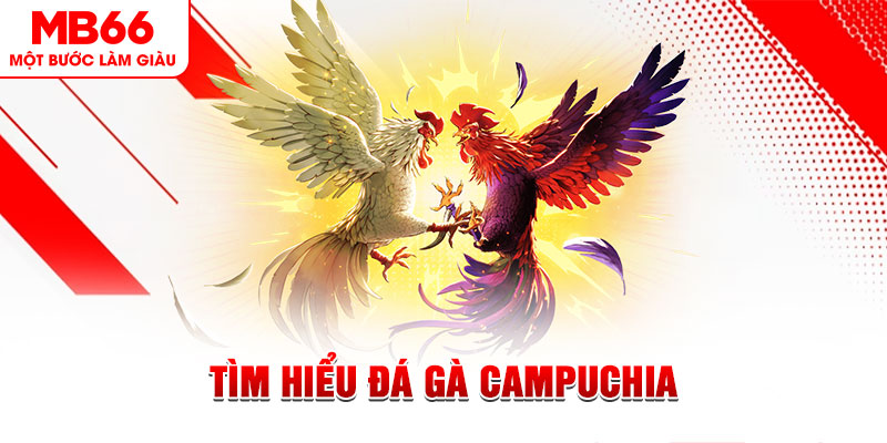 911win game đánh bài trên máy tính