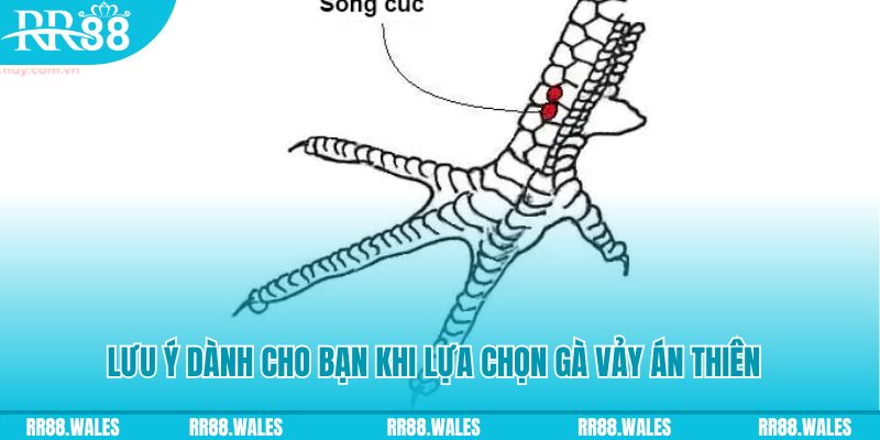 911win xổ số đồng nai
