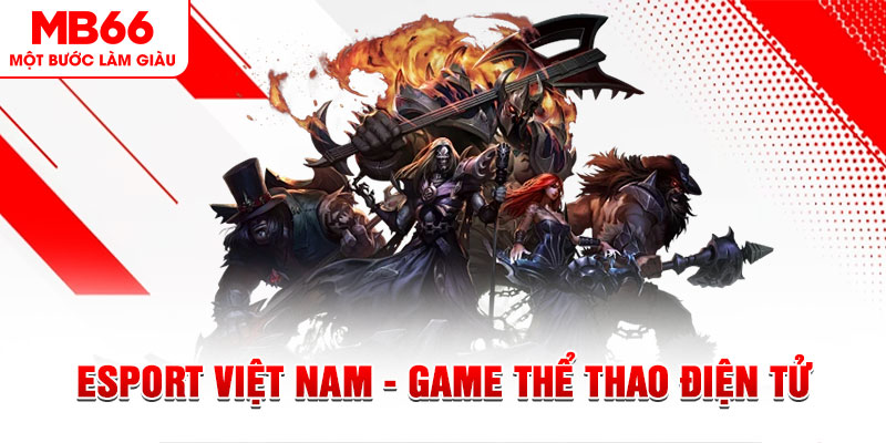 911win what are the most popular casino games