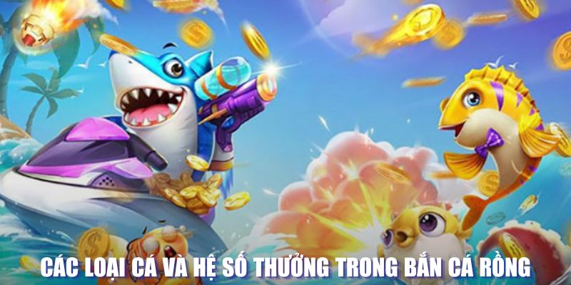 911win đăng nhập sòng bạc mới nhất