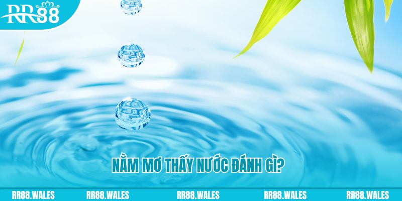 911win TP Bắn cá