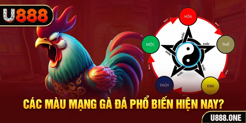 911win trực tiếp đá gà 88
