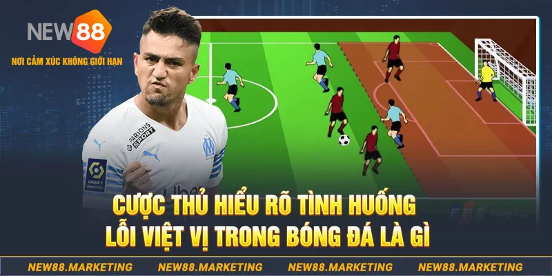911win long bảo baccarat la gì