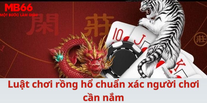 911win xổ số cà mau