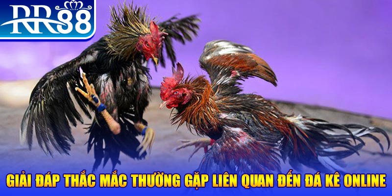 911win xổ số đà lạt
