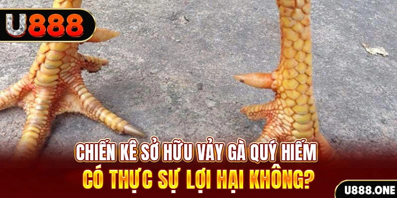 911win nohu .mx nổ hủ là gì