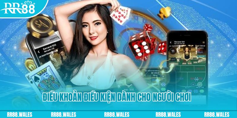 911win casino gồm những gì