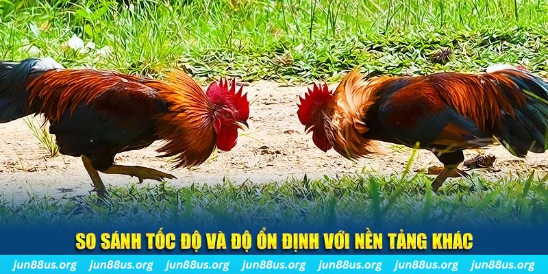 911win đá gà hôm nay