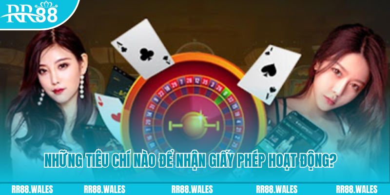 911win hơn cả bạn bè