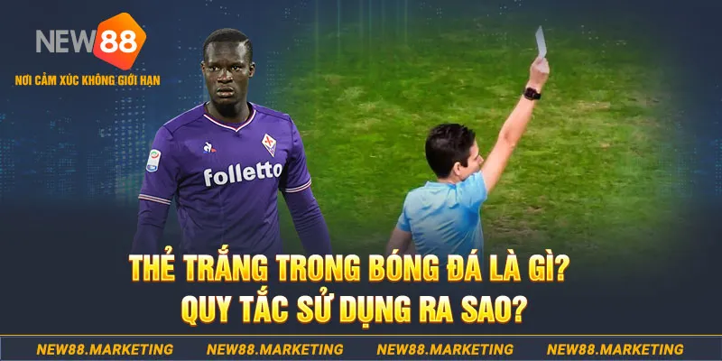911win gà chọi mộc hóa