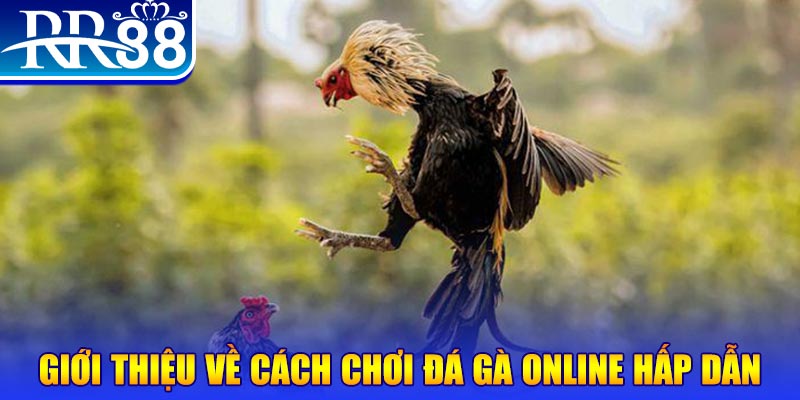 911win game nổ hũ rút tiền mặt là gì
