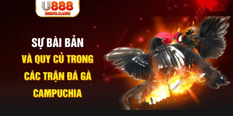 911win YGR Điện Tử