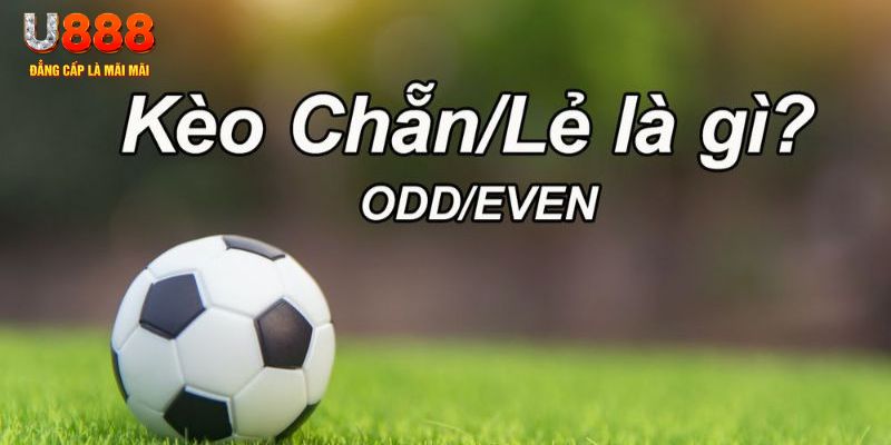 911win đăng nhập poker hôm nay