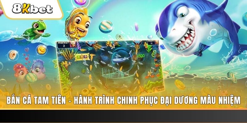 911win xổ số bình định