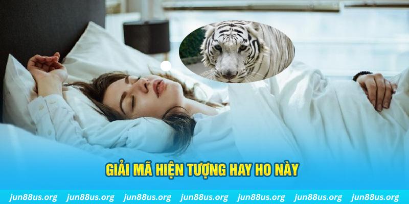 911win đăng nhập nổ hũ uy tín