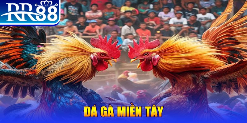 911win đăng nhập nổ hũ