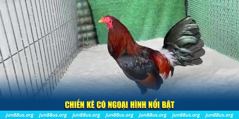 911win chạy quảng cáo cho game bài bị phạt như thế nào