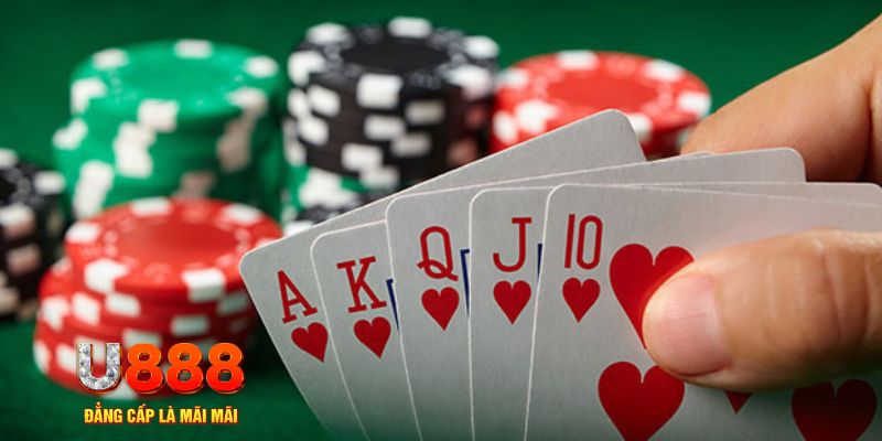 911win đá gà trực tiếp thomo 67