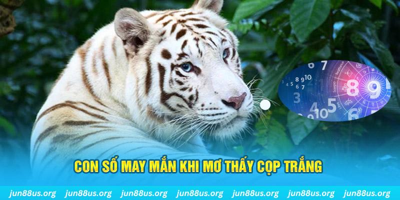 911win đá gà trực tiếp 88